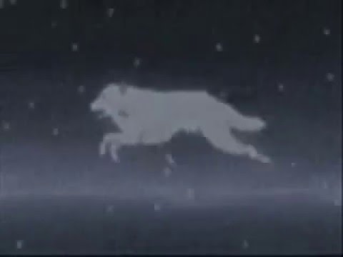 kiba wolf