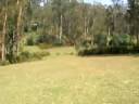 Golf in Ooty