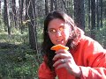 Mushroom hunting: Chanterelle part 2