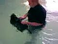 Four Paws Aqua Dog Hydrotherapy Pool - Monty (part one) Four Paws Aqua Dog Hydrotherapy Pool - Monty (part one)