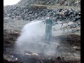 Spraying pesticides on burried whale....