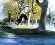 chechenec salto