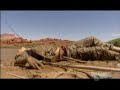 bear escapes quicksand