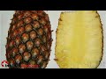 Insidermedicine in 60 - February 29, 2008  Lung Cancer Vitamin E
