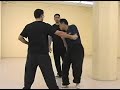 Martial Art Montreal: Xing Yi  (Hsing-I)  Application: animal forms--teaching footage