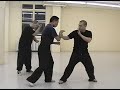 Hsing-I Animal Kung Fu Applications