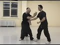 Martial Art Montreal: Xing Yi  (Hsing-I)  Application: animal forms--teaching footage