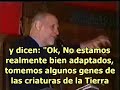 www.lloydpye.com video.google.es