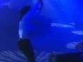 UR live @ Rennes TransMusicales 1992 N°2