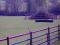 Rhino vs Ostrich