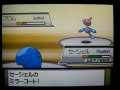ポケモン対戦動画⑰