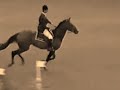 Horses - Apple Bottoms, Low Horses - Apple Bottoms, Low