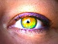 eyecon eyecon