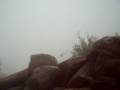 Arunachala summit