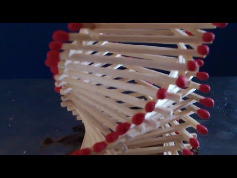 chain reaction chain reaction