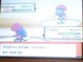 videos de r£d vs newek