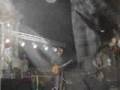 mindel wurm