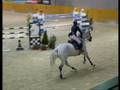 videos de Super Nelly 2nd place GP indoor GESE CSI3* 2nd round 26.10.08