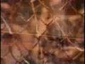Bone Thugs N Harmony~Thuggish Ruggish Bone-