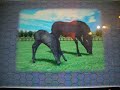 スターホース２&nbsp;StarHorse&nbsp;2&nbsp;TE&nbsp;怪怪誕生&nbsp;香港&nbsp;player