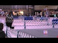 Anna and Bosco - YouTube
