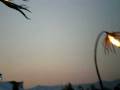 videos de Coachella Arts- Fire Sculpture