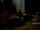 Holmar apreendendo a andar