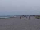 Camping Laguna: Paard Camping Laguna: Paard