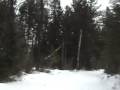 Bigfork Snowmobile Trip (Silverchair)