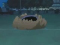 Bleach(10th Division, crushcrush)
