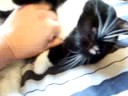 Little One stretches
