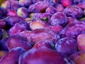 Fruit Trailer
