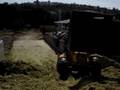 videos de RV New Holland 115 b compactando silagem de Milho