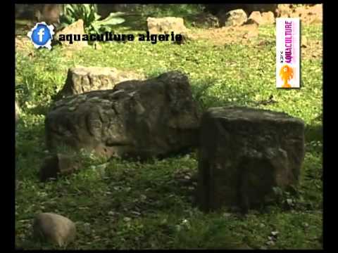 Image de prévisualisation YouTube