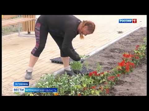 Просмотр видео