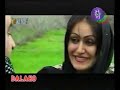 kurdi abaskamandi matori kurdi abaskamandi matori