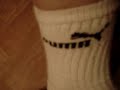 White puma\