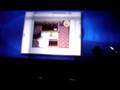 Zelda DS Video