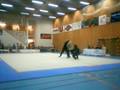 Nordic Wushu 2007 v2