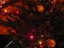 Quentin et le Sapin Quentin et le Sapin