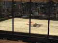 TAZ-BOT vs. Megabyte - RG05