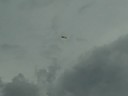 GWS Tiger Moth with Brushless Setup