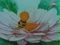 زينة و نحول أغنية البداية