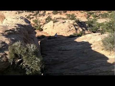 grand national results