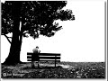 sleepingwolf soundtrack