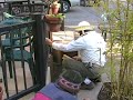 Bees in Ashland
