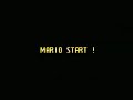 Asshole Mario Stage 12