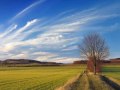 NATURA / NATURALEZA / NATURE
