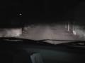 La Gazzella Del Carso Triestino