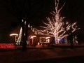 Christmas Lights on 20th Street